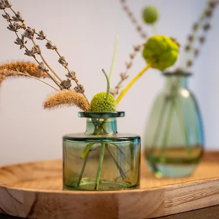 Wilson's Center Rosengarden Lejlighed