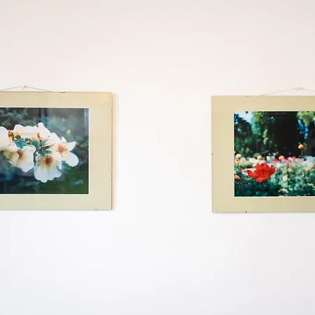 Lejlighed Wilson's Center Rosengarden Baden