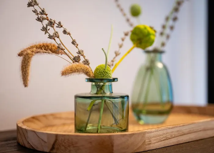 Wilson's Rosengarden Operated By Hostguides Apartment