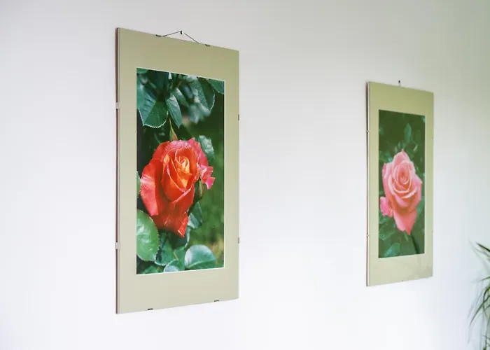 Wilson's Rosengarden Operated By Hostguides *