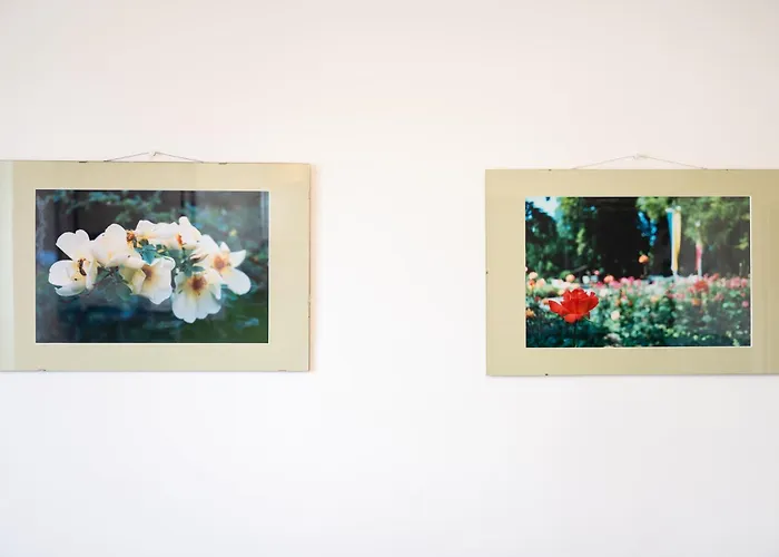 Apartment Wilson's Rosengarden Operated By Hostguides Baden